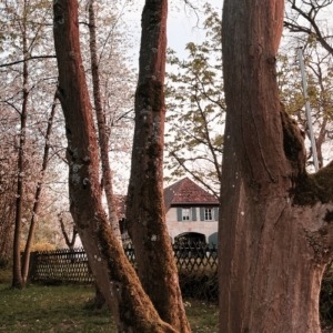 Bayreuth Yoga Yogisono in Bayreuth